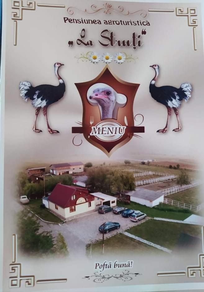 Pensiunea ,,La Struti" Targu Neamt Exterior photo